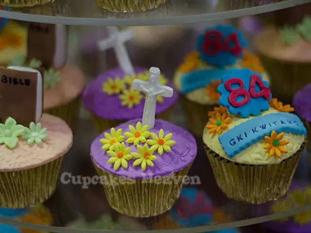 Baseball Team Overview at Holy Cross College