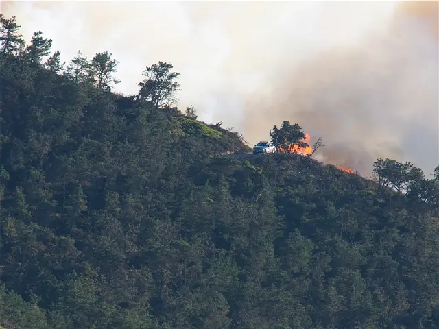 Fires ravage structures in the vicinity of an old gold-mining settlement, resulting in significant...