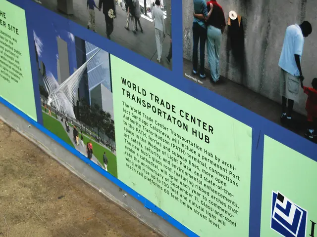 Differences Between Compulsive and Impulsive Actions: A Clarification