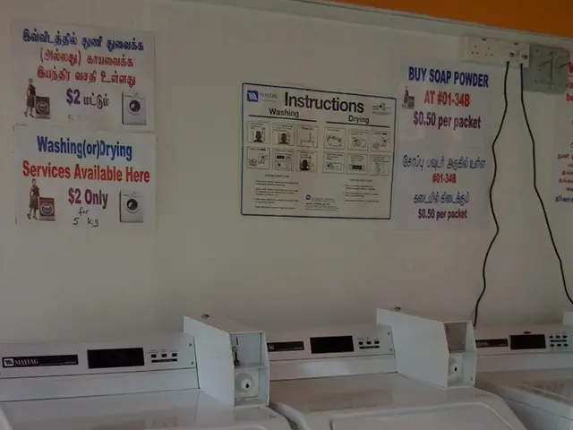 Decreasing Trend in XRP Prices with Analyst Predictions of Remittix Surpassing Ripple's Gains by...