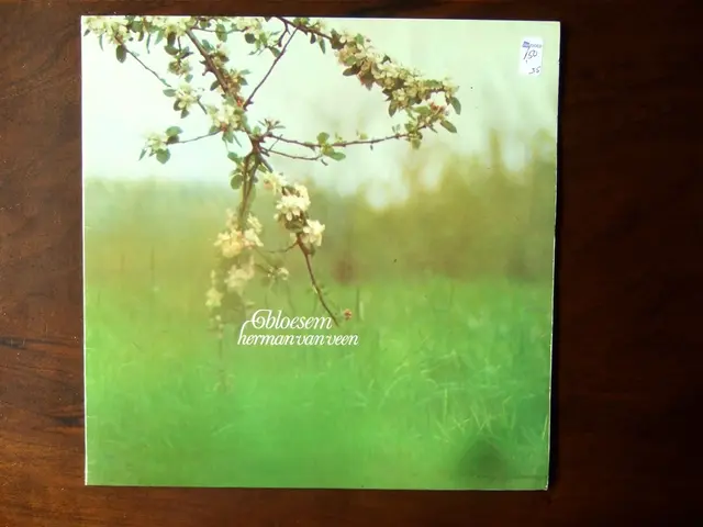 Binance to Distribution of Newton Protocol (NEWT) Tokens Through HODLer Airdrops