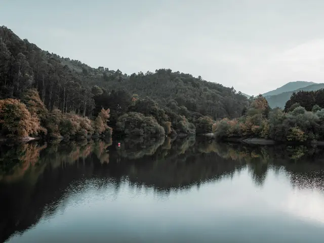 Protesting supporters of Palestine disrupt the Vuelta cycling race in Bilbao with explosions