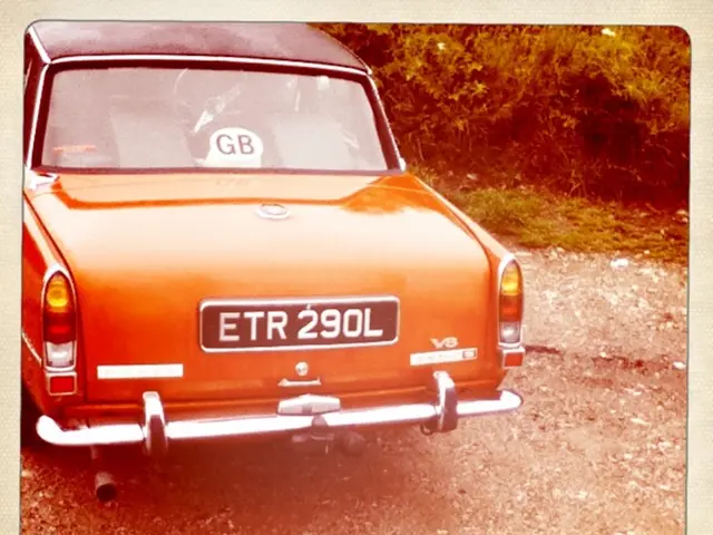 Vehicle collides with a tree.