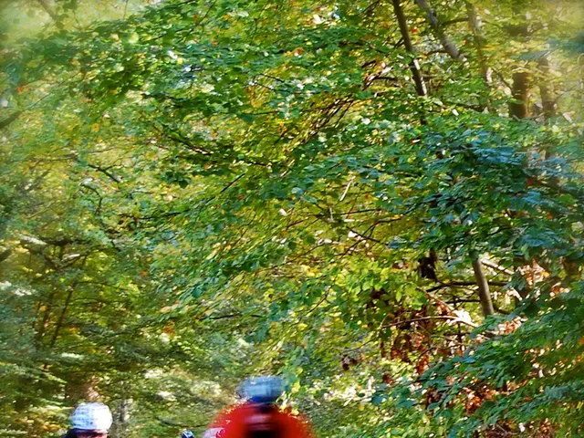 Bicyclist takes off following impact with e-scooter operator.