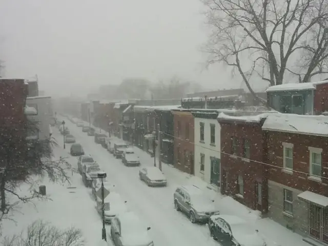 Car crash occurs solo in political region