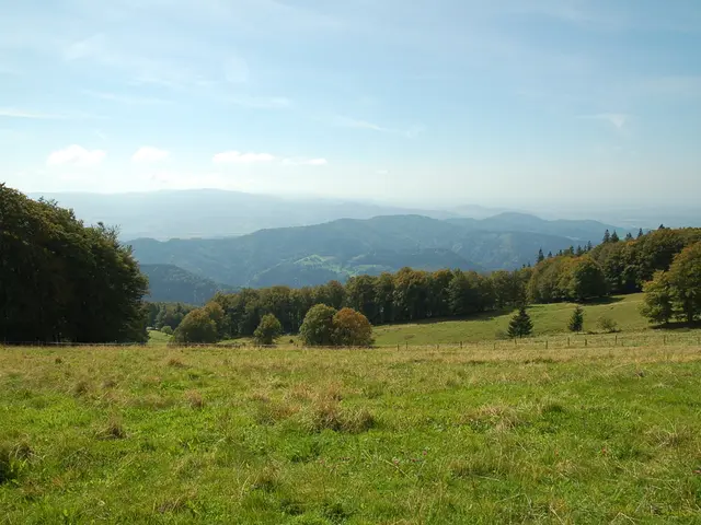 Distribution pattern and overall abundance of herbaceous marsh vegetation across China's landscape