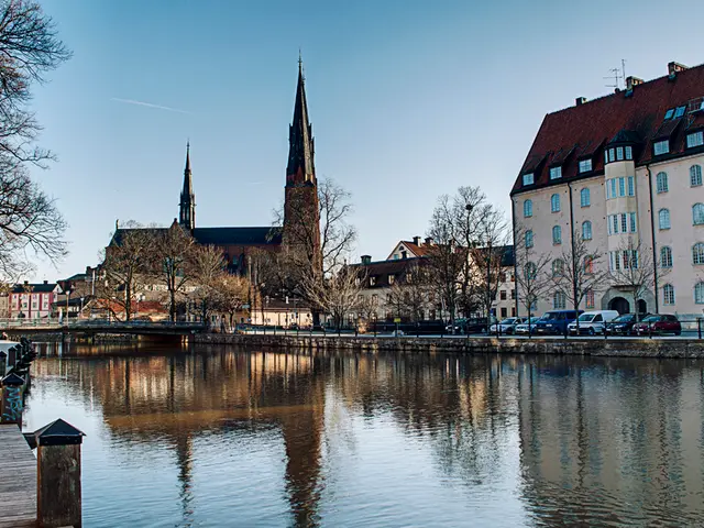 Live Streamed Speech Contest: Palmer vs. Frohnmaier