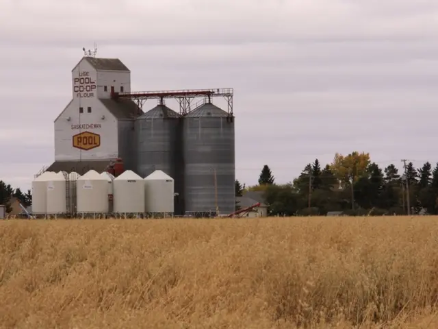 Saudi non-oil sector growth quickens, highlighted by PMI reaching 56.4