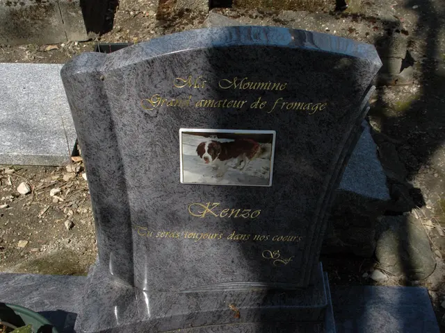 Grave marker rediscovered in a different cemetery after a 40-year hunt