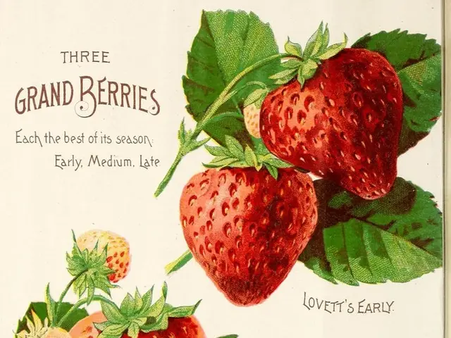 revised JAM Economics Syllabus for 2026: Review Key Topics and New Exam Structure; Access PDF...