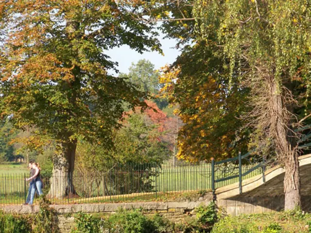 Parks Canada's attendance numbers have soared due to the popularity of the Canada Pass program