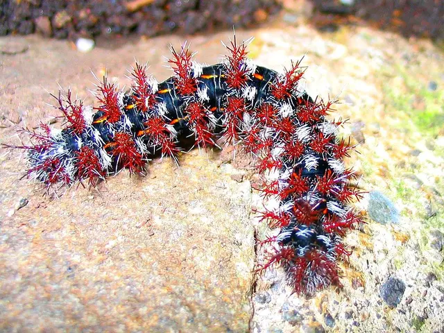 US experiencing concern over Norway's wealth fund selling off shares in Caterpillar