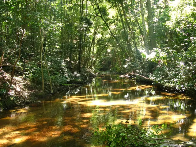 US grants military access to American troops in Panama's Panama Canal