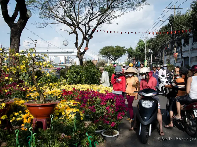 City-Focus in Bochum's Hub: Cycling on Public Streets