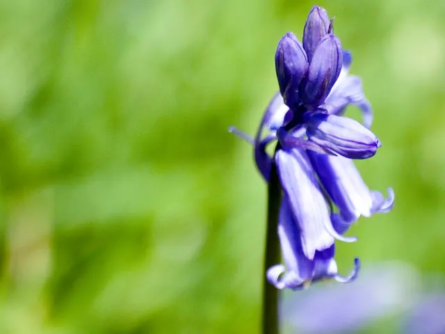 Transform Your Living Space into a Relaxing Summer Retreat with a Subtle Flowery Accent