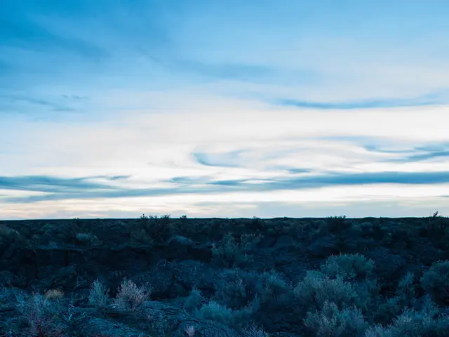 Alaska Resident Endures 22 Days Following a Cabin Inferno