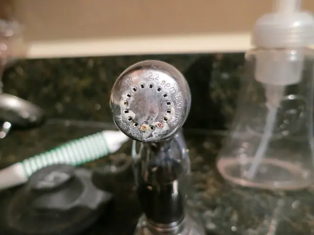 Water Flosser Offers Dentist-Like Cleanliness at an Affordable Price of Less Than $30 Today