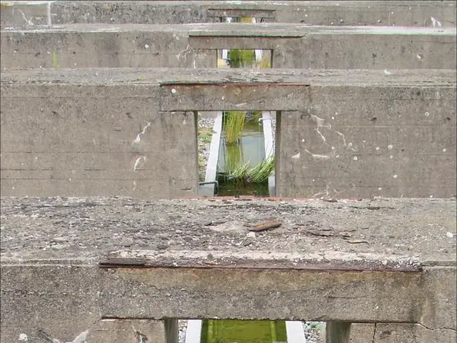 Uniper enters partnership for investigating hydrogen storage options at a British location