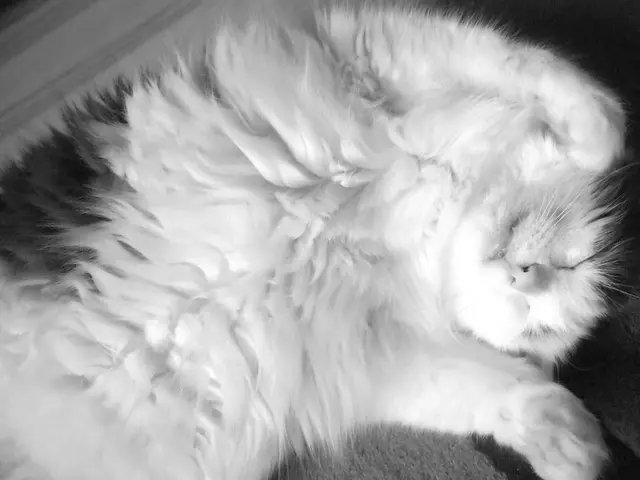 Enhancing Sleep Quality Easily with GLP-1 Solution