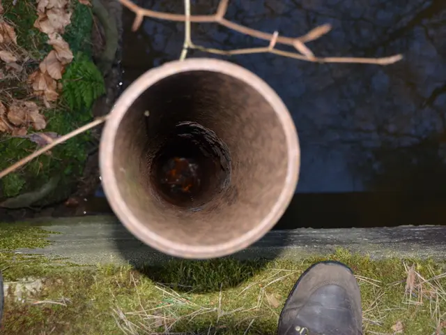 Interview with Timothy Lubniewski: Honest Discussion about Transitioning from a Start-Up to a...