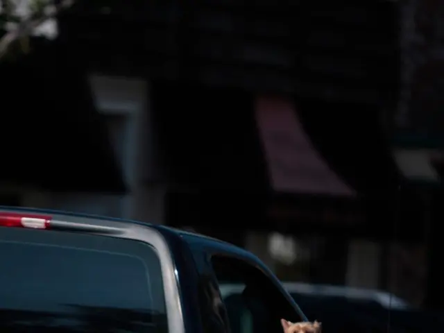 Car crash in Freemersheim: Two people sustain injuries after a vehicular collision involving a car...