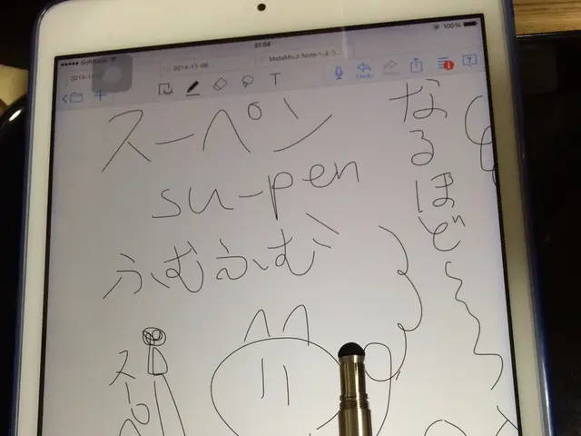 Replacement Stylus for Onyx Boox Note AIR and Note Models