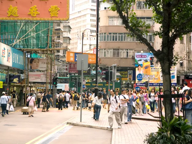 Bears have vacated the area.