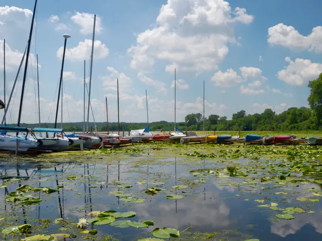 Experiment Results after 40 Days of Meditation - Report by Zensperiment