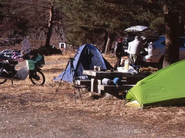 Husband's Unexpected Absence at Picnic in Poland