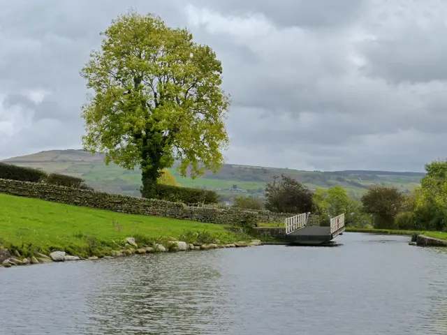 Art, scenery, and fluidized waterways, featuring Vicky and Charles Rangeley-Wilson