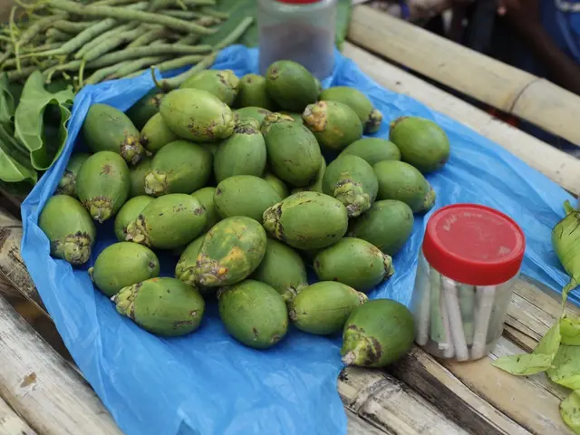 Rum Distillery Introduces Longest-Aged Spirit Yet
