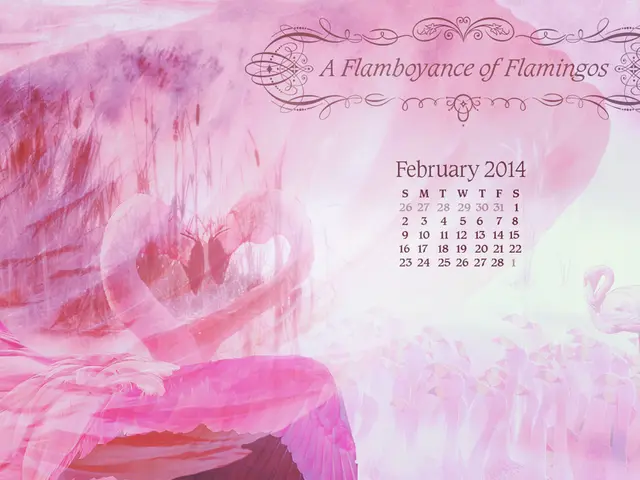 South Carolina Democrats aim to preserve their 'initial presidential voting' position in 2028