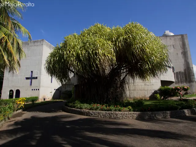 Linux Foundation introduces FAIR Package Manager, potential challenger to WordPress's current...