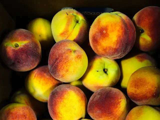 Strong sales figures for Apple in India are captivating investors