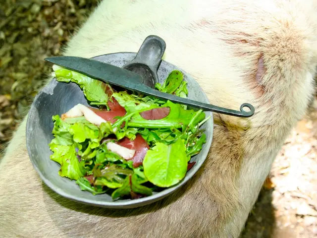 A description exploring the concept of Small Intestine Blockage.