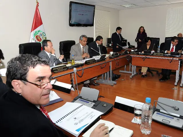 Flag display on Dublin lampposts deemed excessive and disrespectful use of the national emblem