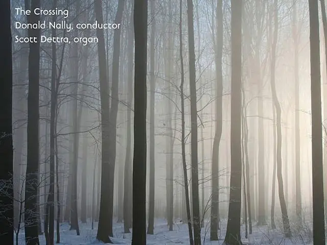 Wintery weather forecasted for the weekend in Latvia