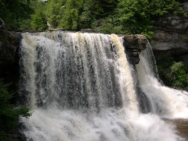 Discover the Petrified Forest and Unique Wildlife along New Zealand's Breathtaking Scenic Trail