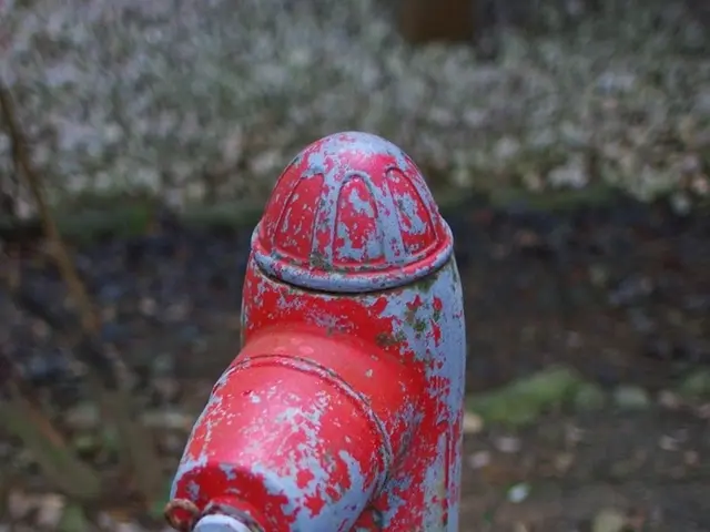 Efficient Pipe Restoration Methods: An Examination of Drain Relining Science