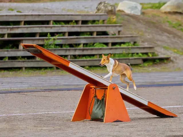 Brazil's Mid-sized Mining Giant, Vale, Bolsters its Iron Ore Operations with a Steep $12.2 Billion...