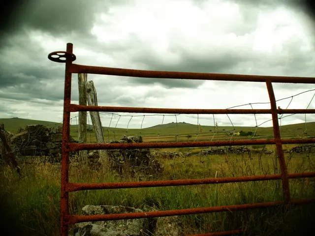 Initially rainfall, followed by a surreal, late-summer weekend in the northern regions