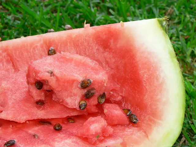 Experiencing the advantages of watermelon oil in your hair, skin, and diet