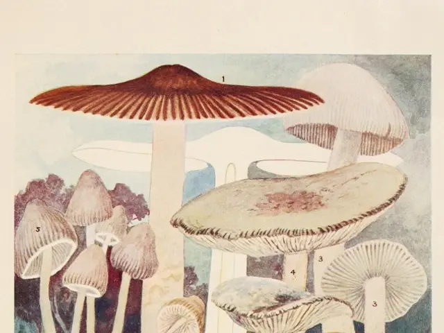 Data subject will be notified about the following details: