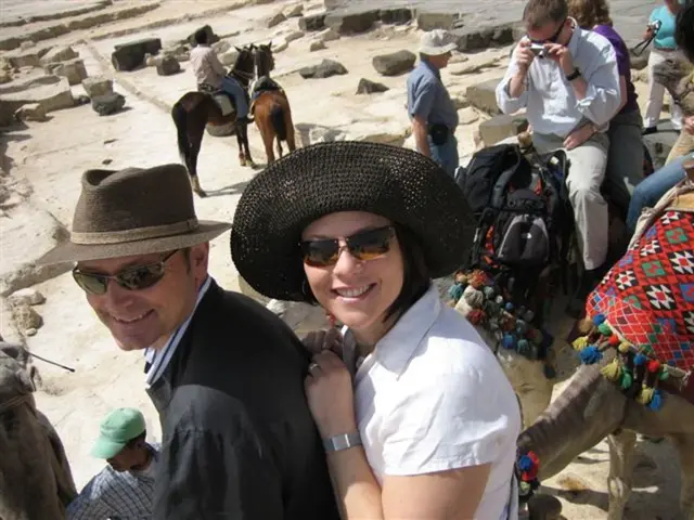 High Bid of Dh600,000 Declined: Prized Arabian Horses Remain Unsold at UAE Auction