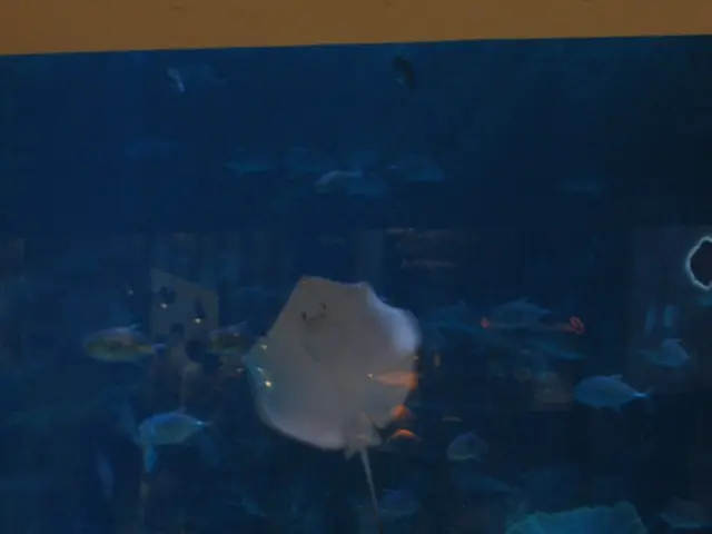 Reinvented Green Space to Take Over Site of Burst Aquarium at Berlin Radisson Hotel