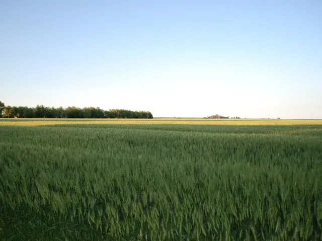 Federal government pledges support for Kedah's initiative to cultivate paddy granary regions,...