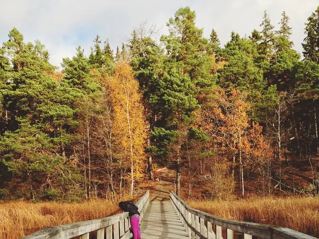 Authorities are seeking individuals who may have observed certain events.