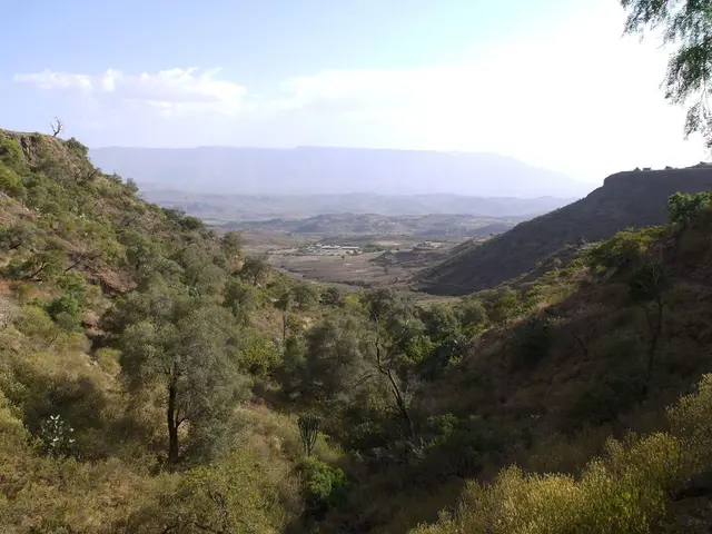 Earth is mapped using a virtual satellite by Google's AI model