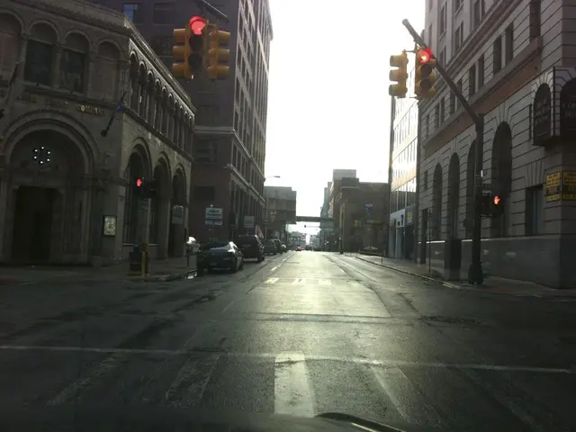 Thursday encounter: Driver encounters fox during hatching process, resulting in unexpected incident...