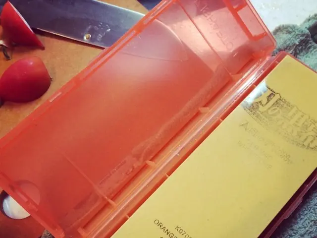 Chhattisgarh High Court maintains decision to not dismiss police case against logistics company...